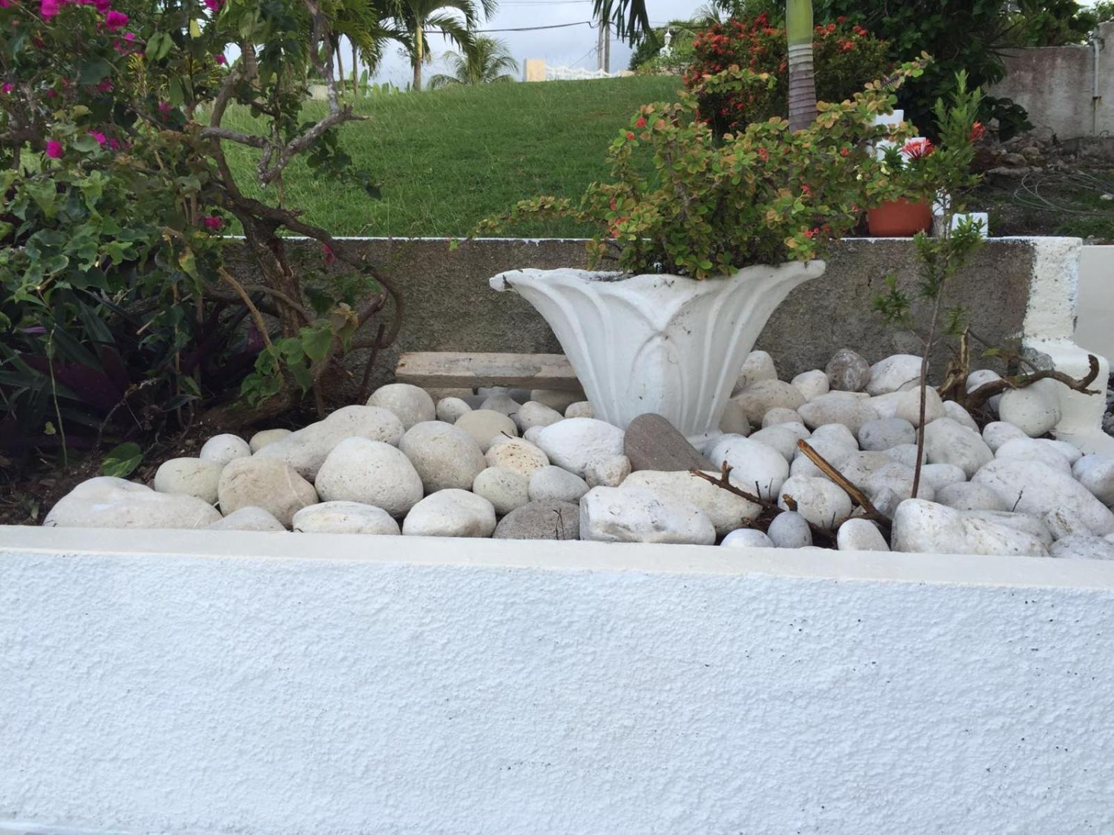 Goldenview Guesthouse Ocho Rios Kültér fotó