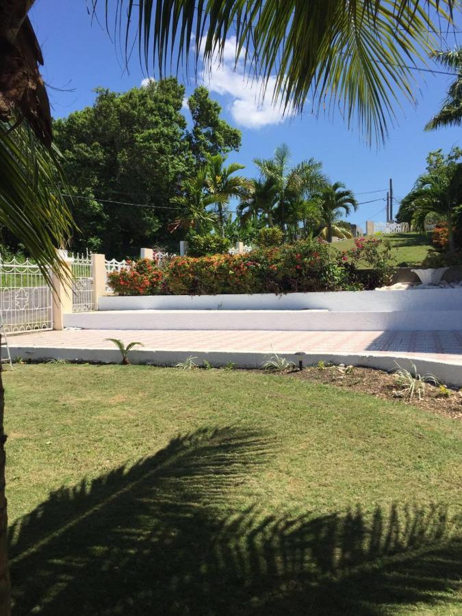 Goldenview Guesthouse Ocho Rios Kültér fotó
